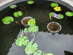-福建民俗博物馆