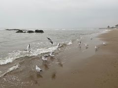 -老虎石海上公园