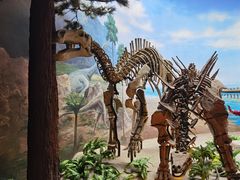 -延庆地质公园博物馆