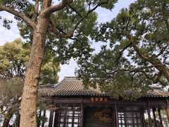 -西湖游船