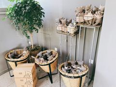 -维苏唯披萨(青云街店)