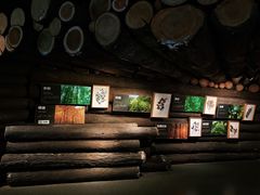 -武汉园博园(武汉自然博物馆)