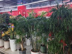 -沈阳大商千盛购物中心有限公司(长江街店)