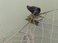 -灵秀公园
