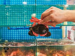 -辣螃铠盆盆蟹大排档(总店)