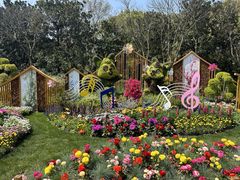 -上海共青森林公园