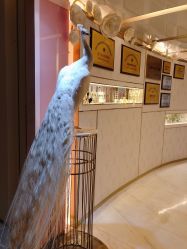 -英芬国际月子中心(岛屿度假月子·洲至奢选香岚店)