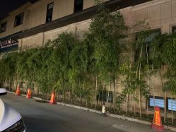 -陶然花园·婚宴