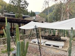 -MOJ coffee(瓯海泽雅水碓坑店)