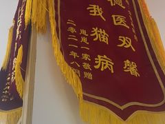-芭比堂动物医院·心脏科·老年急重症·夜诊·吉雅分院