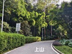 -火炉山森林公园