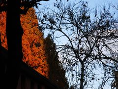 -浙江省杭州高级中学(贡院校区)