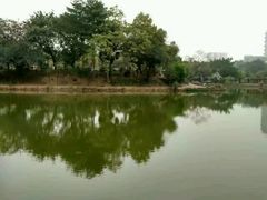 -石湾公园