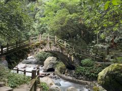 -西岭雪山大飞水景区
