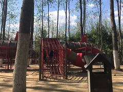 -合肥滨湖国家森林公园