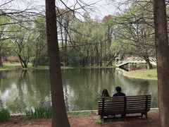 -共青国家森林公园-售票处