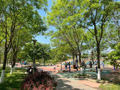 -大兴滨河森林公园