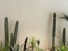 -J Create城市露营咖啡·简餐·宠物(上海动物园店)