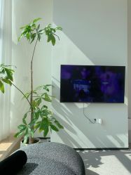 -JNK皮肤管理中心