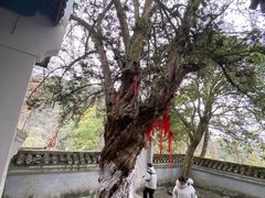 -常德桃花源景区