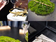 -大视光学•LINDBERG林德伯格•全球手工眼镜集合店(王府井店)