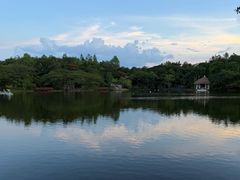 -清迈夜间动物园