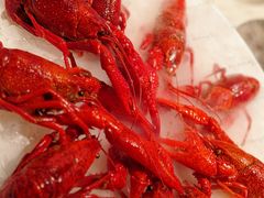 -红盔甲·小龙虾(天钥桥店)