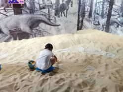 -恐龙探索乐园(磁器口店)