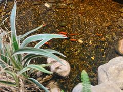 -邈墨茶馆(凤起路店)