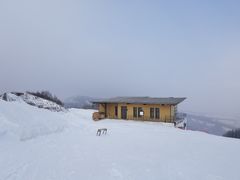 -多乐美地滑雪场