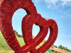 -北纬44度·金珠花海休闲农业旅游景区