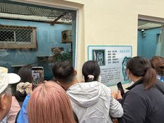 -青藏高原野生动物园