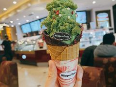-哈根达斯(石家庄北国店)
