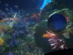 -海昌极光餐厅