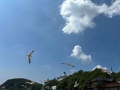 -棒棰岛宾馆景区