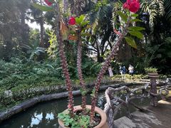 -曼听御花园