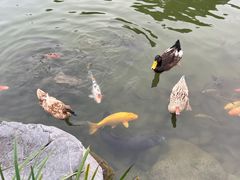 -扬州瘦西湖温泉