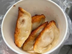 -洋洋锅贴