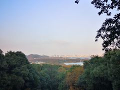 -中国茶叶博物馆(双峰馆区)
