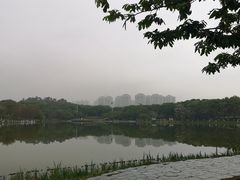 -东莞植物园