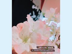 -栖川山葵家·寿喜锅·日式料理(龙湖北城天街商场店)