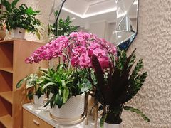 -鹿港小镇(黄金店)