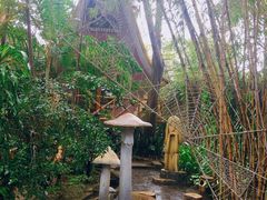 -疯狂屋
