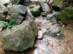 -火炉山森林公园