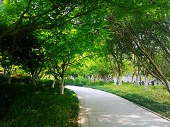 -范蠡湖公园