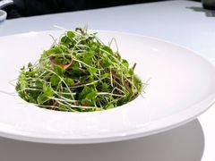 香椿苗豆腐丝-禧宴Joyous Restaurant(禧园店)