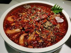-付掌柜在成都·热炒砂锅集(金禾店)