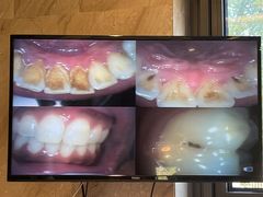 -劲松口腔医院(蓝色港湾院)