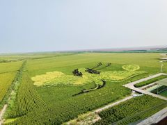 -红海滩国家风景廊道
