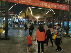 -三亚红色娘子军演艺公园景区